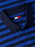 Multi Regular Fit Stripe Jersey Polo Shirt  Men