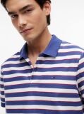 Multi Regular Fit Stripe Jersey Polo Shirt  Men