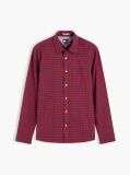 Multi Regular Fit Check Oxford Shirt  Men