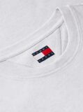 Γκρι T-Shirt Με Κεντητό Λογότυπο  Άνδρες