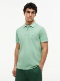 Green Garment Dyed Flag Embroidery Regular Polo  Men