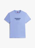 Μωβ Κοντομάνικο T-Shirt Σε Κανονική Γραμμή Με Tonal Λογότυπο  Άνδρες
