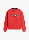 Red 90s Logo Appliqué Fleece Sweatshirt  Men