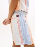 Multi Dobby Stripe Relaxed Shorts  Men