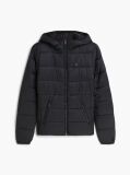 Black Slim Hooded Padded Jacket  Women