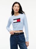 Μπλε Πουλόβερ Σε Slim Γραμμή Με Σημαία Tommy  Γυναίκες