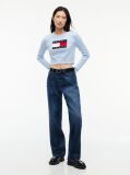Μπλε Πουλόβερ Σε Slim Γραμμή Με Σημαία Tommy  Γυναίκες