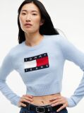Μπλε Πουλόβερ Σε Slim Γραμμή Με Σημαία Tommy  Γυναίκες