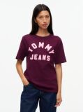 Μωβ T-Shirt Από Jersey Σε Άνετη Γραμμή Με Λογότυπο  Γυναίκες