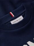 Blue Logo Sueded Crew Neck Sweatshirt  Boys