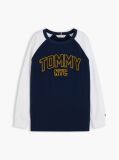 Blue Colour-Blocked Varsity Logo T-Shirt  Boys