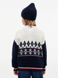 Multi Varsity Logo Fair Isle Jumper  Boys