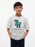 Grey Varsity Logo Jersey T-Shirt  Boys