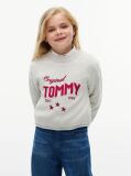 Grey Star Embroidery Relaxed Balloon Sleeve Jumper  Girls