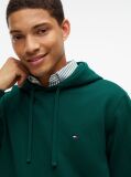 Green Flag Embroidery Terry Hoody  Men