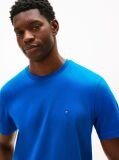 Blue Flag Embroidery T-Shirt  Men