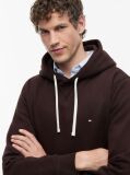 Καφέ Fleece Hoody Με Κεντητή Σημαία  Άνδρες