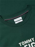Πράσινο Βαμβακερό T-Shirt Με Κλασική Λαιμόκοψη Και Λογότυπο Σε Αντίθεση  Άνδρες