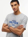 Γκρι Βαμβακερό T-Shirt Με Κλασική Λαιμόκοψη Και Λογότυπο Σε Αντίθεση  Άνδρες