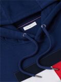 Blue Flag Embroidery Logo Fleece Hoody  Men