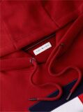 Red Flag Embroidery Logo Fleece Hoody  Men