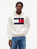 Beige Flag Embroidery Logo Fleece Hoody  Men