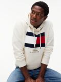 Beige Flag Embroidery Logo Fleece Hoody  Men