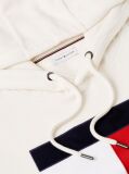 Beige Flag Embroidery Logo Fleece Hoody  Men