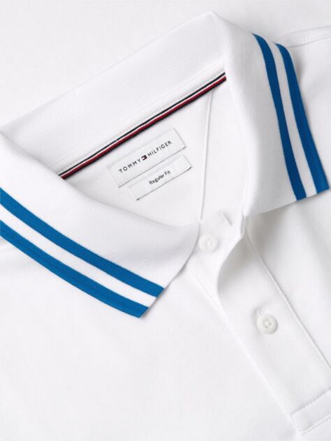 Multi Regular Fit Logo Tipped Polo Shirt  Men