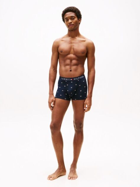 Blue Print Trunks  Men