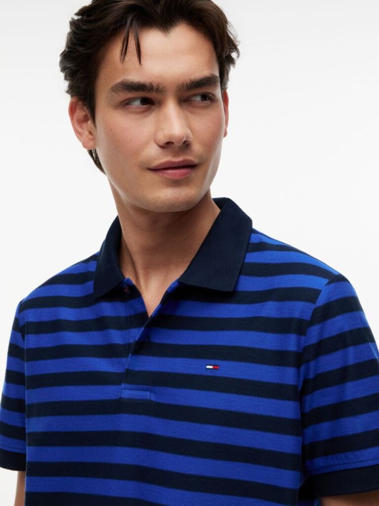 Multi Regular Fit Stripe Jersey Polo Shirt  Men