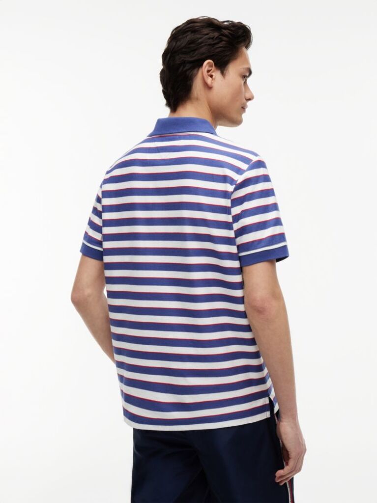 Multi Regular Fit Stripe Jersey Polo Shirt  Men
