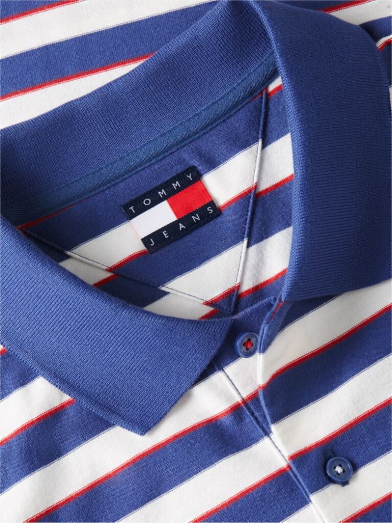 Multi Regular Fit Stripe Jersey Polo Shirt  Men