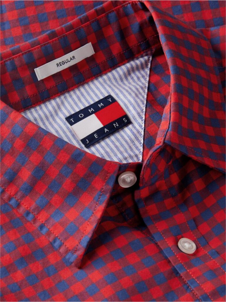 Multi Regular Fit Check Oxford Shirt  Men