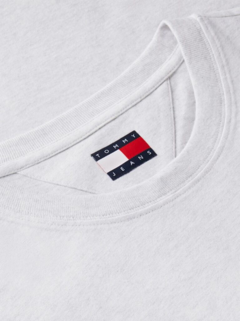 Γκρι T-Shirt Με Κεντητό Λογότυπο  Άνδρες