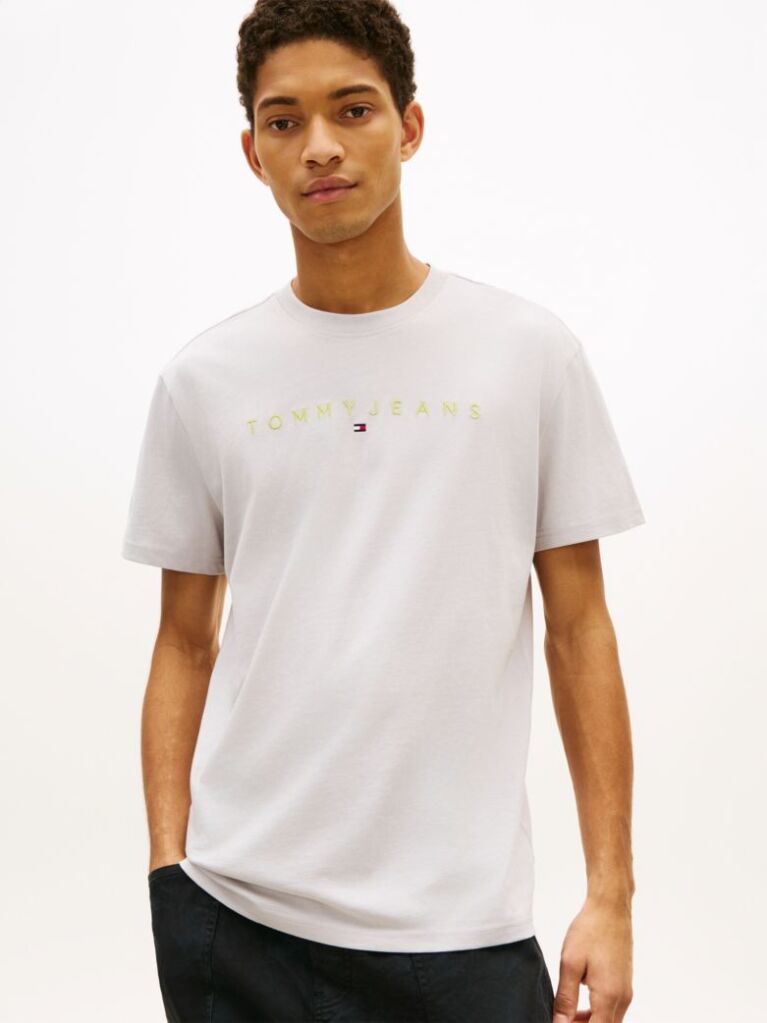 Γκρι T-Shirt Σε Κανονική Γραμμή Με Κεντητό Λογότυπο  Άνδρες
